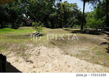 Killing Fields - Phnom Penh (Cambodia) 55013266