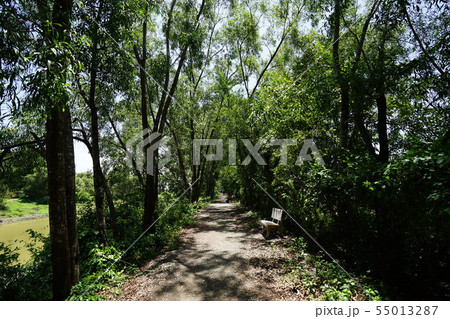 Killing Fields - Phnom Penh (Cambodia) 55013287