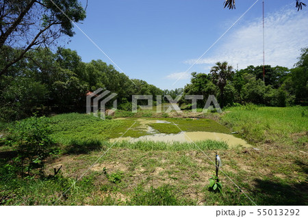 Killing Fields - Phnom Penh (Cambodia) 55013292