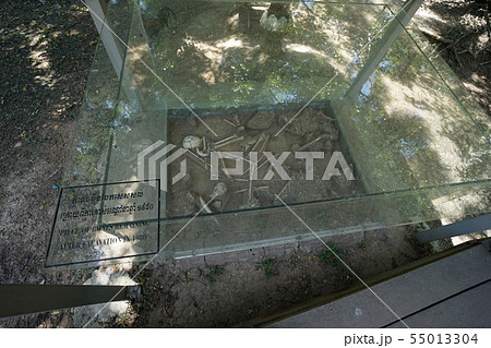 Killing Fields - Phnom Penh (Cambodia) 55013304