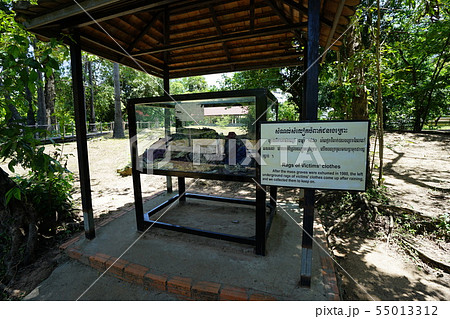 Killing Fields - Phnom Penh (Cambodia) 55013312