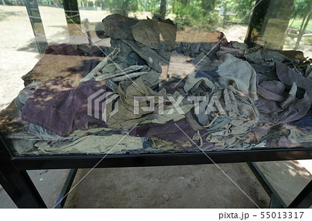 Killing Fields - Phnom Penh (Cambodia) 55013317