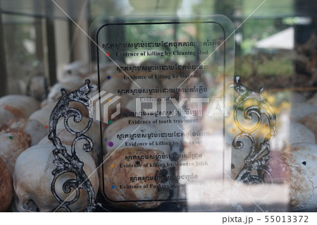 Killing Fields - Phnom Penh (Cambodia) 55013372