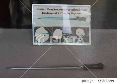 Killing Fields - Phnom Penh (Cambodia) 55013399