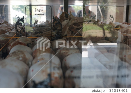 Killing Fields - Phnom Penh (Cambodia) Killing Fields - Phnom Penh (Cambodia) 55013401