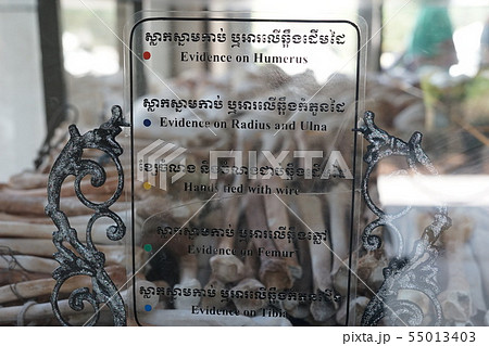 Killing Fields - Phnom Penh (Cambodia) 55013403