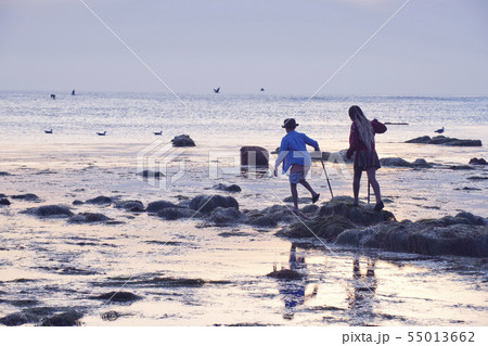 Children exploring tide pools in La Jolla, California Children exploring tide pools in La Jolla, California 55013662