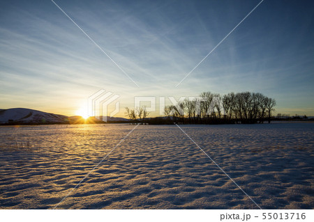 Snow field at sunset in Picabo, Idaho 55013716