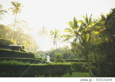 Woman wearing white dress on terraced rice paddies in Bali, Indonesia Woman wearing white dress on terraced rice paddies in Bali, Indonesia 55014204