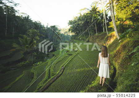 Woman wearing white dress on terraced rice paddies in Bali, Indonesia 55014225