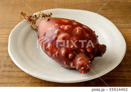 ホヤ ホヤ 55014402