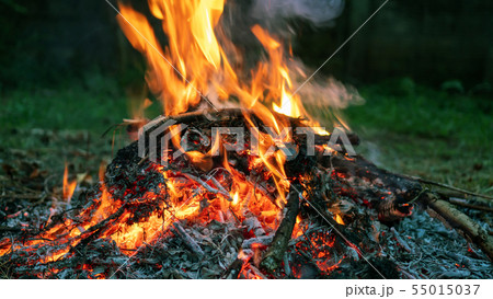 Close up of hot bonfire has hot sparks rise. Close up of hot bonfire has hot sparks rise. 55015037