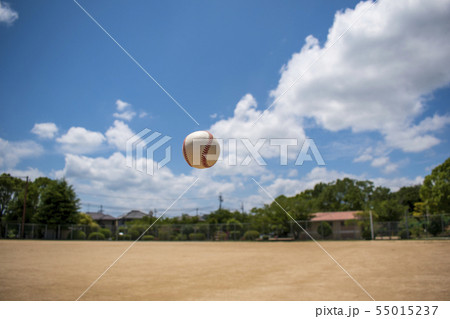 野球 夏のイメージ 野球 夏のイメージ 55015237