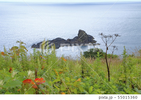 北海道小樽市 トド岩 北海道小樽市 トド岩 55015360