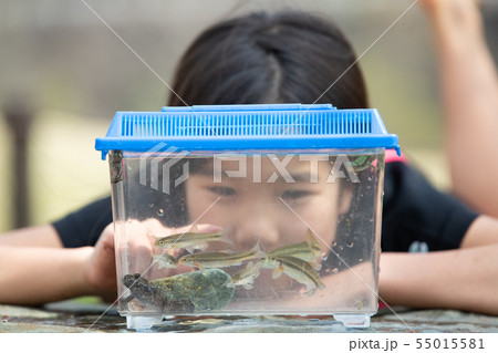 生き物を観察する女の子 55015581
