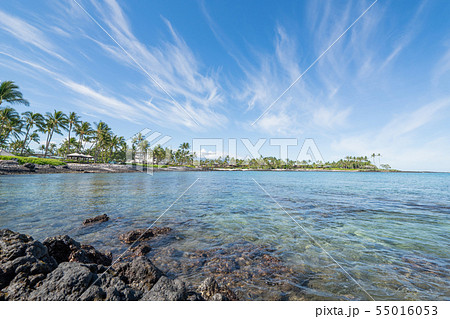 ホテルフェアモント周辺の情景 ホテルフェアモント周辺の情景 55016053