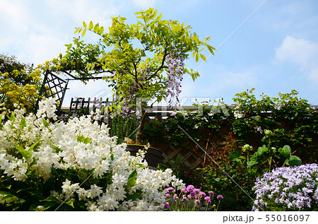 春のベランダ 55016097