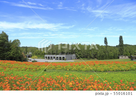 北海道札幌市 国営滝野すずらん丘陵公園  北海道札幌市 国営滝野すずらん丘陵公園  55016101