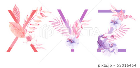 Watercolor Hand Drawn tropic letters monograms or logo. Uppercase X, Y, Z with jungle herbal Watercolor Hand Drawn tropic letters monograms or logo. Uppercase X, Y, Z with jungle herbal 55016454
