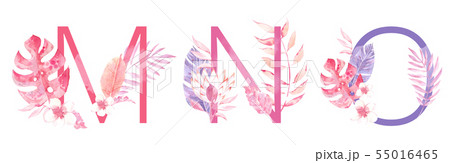 Watercolor Hand Drawn tropic letters monograms or logo. Uppercase M, N, O with jungle herbal Watercolor Hand Drawn tropic letters monograms or logo. Uppercase M, N, O with jungle herbal 55016465