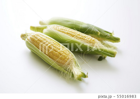 新鮮なとうもろこし 55016983