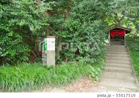 堂塔寺址と目洗井 55017510