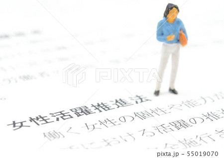 女性の活躍推進法 55019070