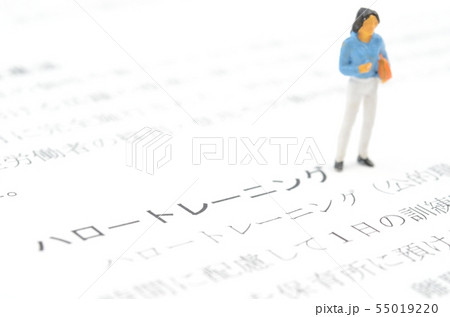 ハロートレーニング 55019220