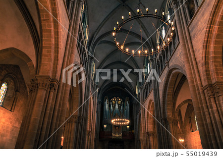 St. Pierre Cathedral interior fragment with organ St. Pierre Cathedral interior fragment with organ 55019439