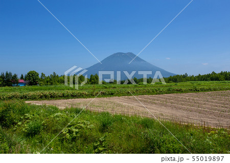 羊蹄山・国道五号線 55019897