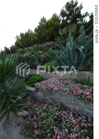 A flower bed in the form of steps on each of which 55020060