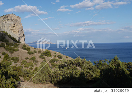The sail is lonely against the background of the b 55020079