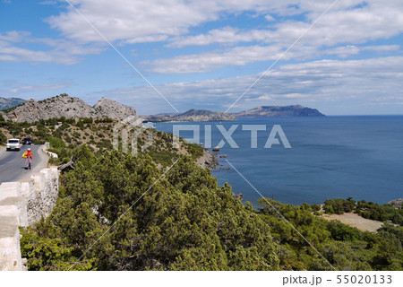rocky coast of the sea with coniferous trees on wh rocky coast of the sea with coniferous trees on wh 55020133