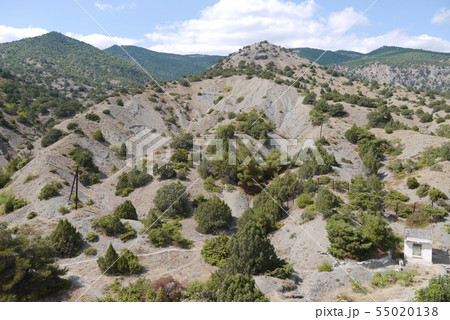 Slopes of low mountains are overgrown with a rare Slopes of low mountains are overgrown with a rare 55020138