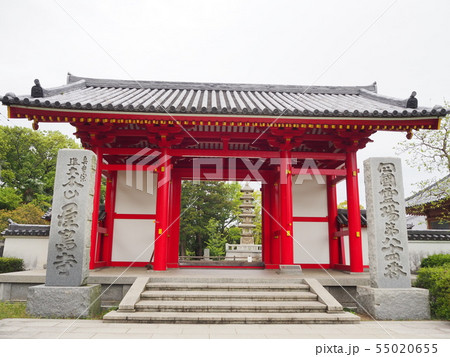 屋島寺 屋島寺 55020655