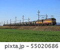 三岐鉄道　ED45形貨物列車 55020686