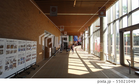 青森市　三内丸山遺跡 55021049