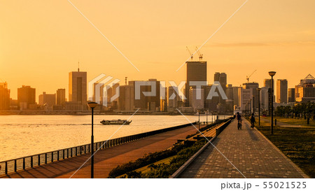 豊洲ぐるり公園の風景 (夕景) 豊洲ぐるり公園の風景 (夕景) 55021525