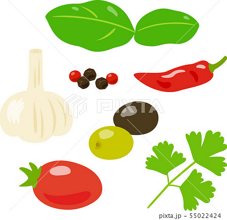 イタリア料理に使うスパイスやハーブ 野菜のイラスト素材