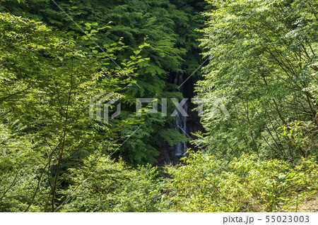 西沢渓谷　大久保の滝 55023003