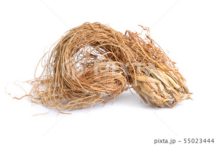 Roots of Chrysopogon zizanioides, commonly known 55023444