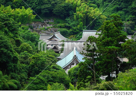 7月　鎌倉965建長寺半僧坊・見晴台展望 55025820