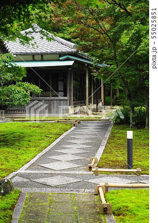 7月 鎌倉938長寿寺(長寿禅寺)本堂前の苔庭と書院 7月 鎌倉938長寿寺(長寿禅寺)本堂前の苔庭と書院 55025851