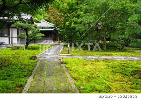 7月　鎌倉935長寿寺(長寿禅寺)本堂前の苔庭と書院 55025855