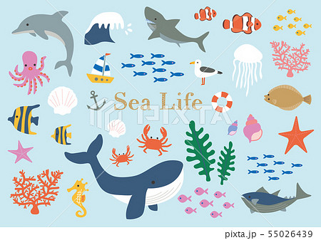 海の生き物イラストセットのイラスト素材