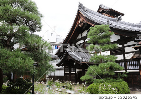 行願寺 行願寺 55026545