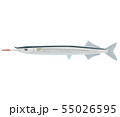 サヨリ サヨリ 55026595