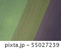 畑の模様 55027239