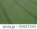 ジャガイモ畑 55027243