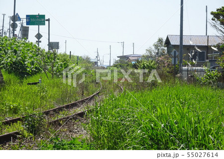 緑に覆われる?日高線 緑に覆われる?日高線 55027614
